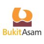 pt bukit asam tbk